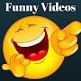 Funny Videos