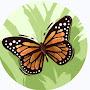@FarahKhaled-u2l7l