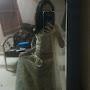 @Ishika-w7e
