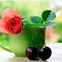 @angelinatkacheva1781