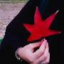 @melikeakbulut944
