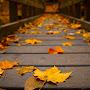 @mehdiheidaryan9902