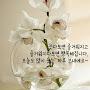 @김혜원-c9h9e