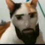 @naphatchom5759