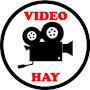 Video Hay