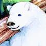 Beary White Bear