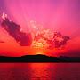 @naturefunda5378
