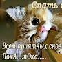 @tanyacotova2978