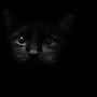 @MICHEL191.