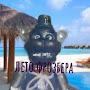 @fredde19879
