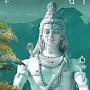@MohitThakurChauhan11