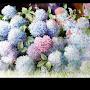 @파이데이아-h5j