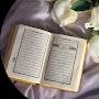 @nour234-g3m