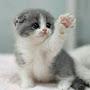@Orzigul072