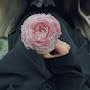 @Radam555