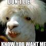 @connorwilcox4244