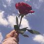 @عمرعمر-ط9ط9و