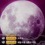 @프라그마-z8k