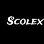Scolex