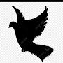 @اسلامالعربي-ب8ف