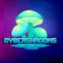 Cybershroom