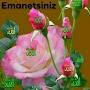 @elnureakif7685