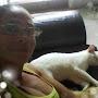 @jeanevaleriadesouza8430