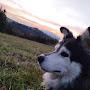 @Mateusz.bialozyt444