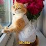 @ГалинаСерегина-к1я