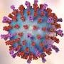 @thepresidentofvirus6380
