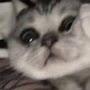 @Game-bf3pm