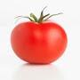 The Newfoundland Tomato