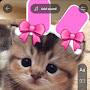 @cat-i4t9u