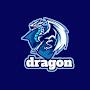 @dragon-hh9hc
