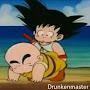 Son Gohan