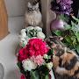 @яофигеваюмама-х9ы
