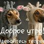 @ТоварищЧе-т8ю
