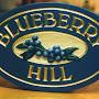 @blueberryhill6948