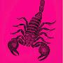 Pink Scorpio