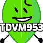 TheDigiVideoMaker953 / TDVM953
