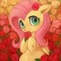@filemon455