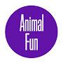 Animal Fun 