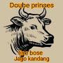 Double prinses line bose Jago kandang.