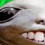 @kramds_goofy