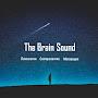 @thebrainsound3903