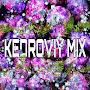 КЕДРОВЫЙ MIX