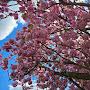 @Michael-jr8nj