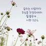 @유미-o6q