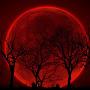 Blood Moon