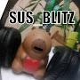 @SUS_BLITZ_shors
